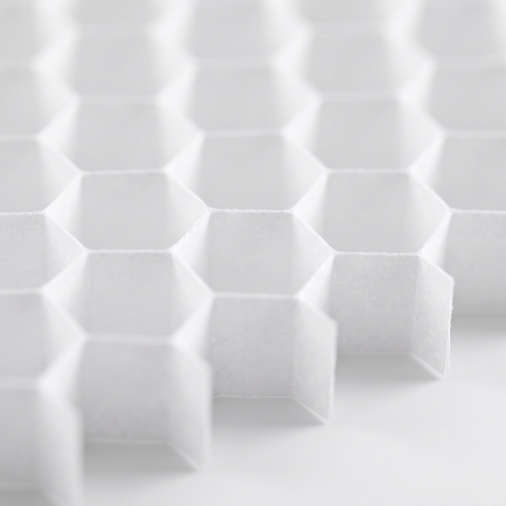 Przekrój komórkowej struktury rolety plaster miodu